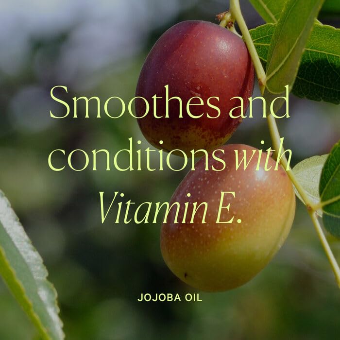 Well People Power Palette Powder Face Trio, Face Powder Makeup Palette For A Sun-kissed Glow, Hydrates Skin, Vegan & Cruelty-free, Empowerment - Image 3